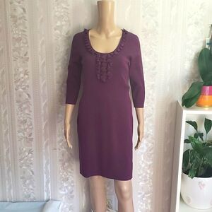 Ann Taylor Sweater Dress  